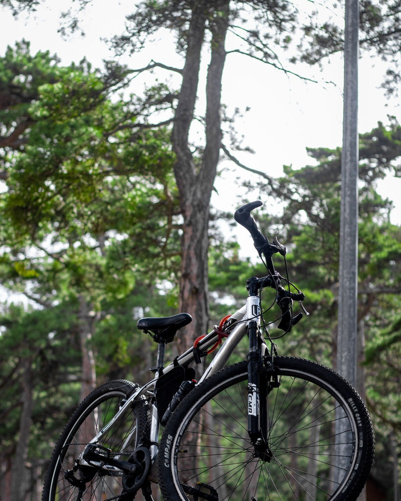Ein Mountainbike steht zwischen Kiefern im Wald.