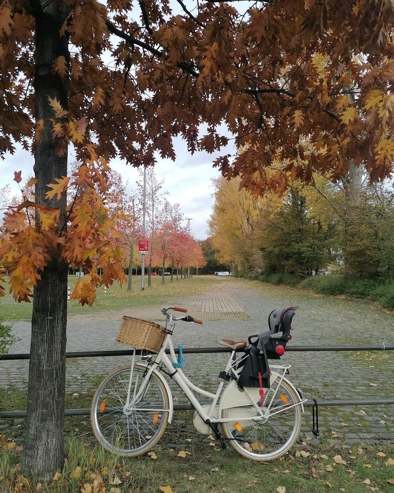 Ein weißes Stadtrad mit Kindersitz und Korb steht unter herbstlich gefärbten Bäumen.