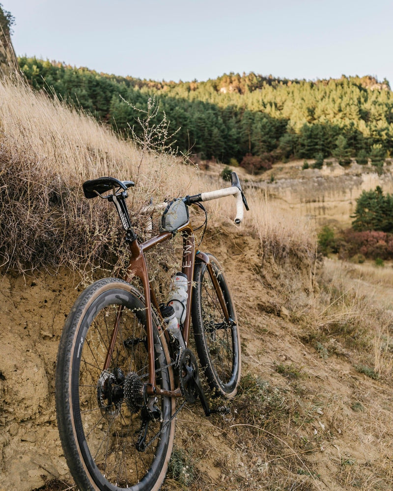 Ein Gravelrad steht an einem trockenen Grashang, dahinter ein Nadelwald.