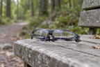 Selbsttönende Sportbrille – mit transparenten Gläsern auf einer Bank am Waldweg